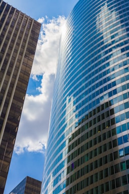 Bright, sunlit Adelaide street view with sparkling clean windows reflecting the blue sky.