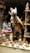 A taxidermy fox is posed upright with a rifle and a pheasant in its hands. Surrounding the fox are various decorative items, including beer steins with Bavarian designs, glass mugs, and ornate metal objects. The scene resembles an eclectic display of rustic and hunting-themed memorabilia with a playful twist.