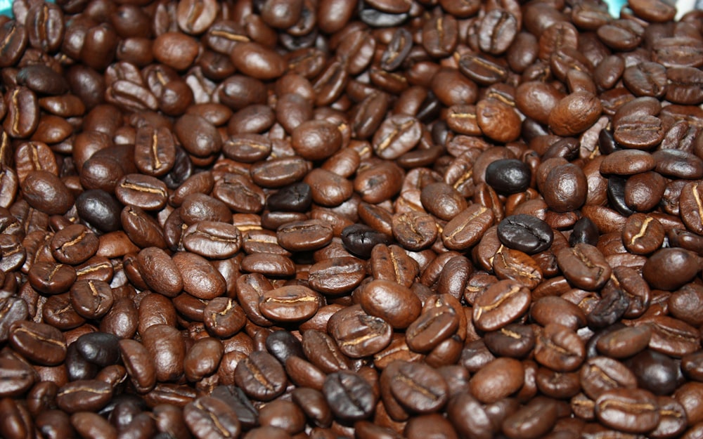 closeup photo of coffee beans