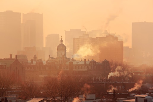 A city skyline with tall buildings is shrouded in a dense layer of smog or fog. The silhouette of an old-style building with a dome is visible in the foreground. Smoke is rising from various structures, blending into the hazy atmosphere. Leafless trees are sparsely populated across the landscape.