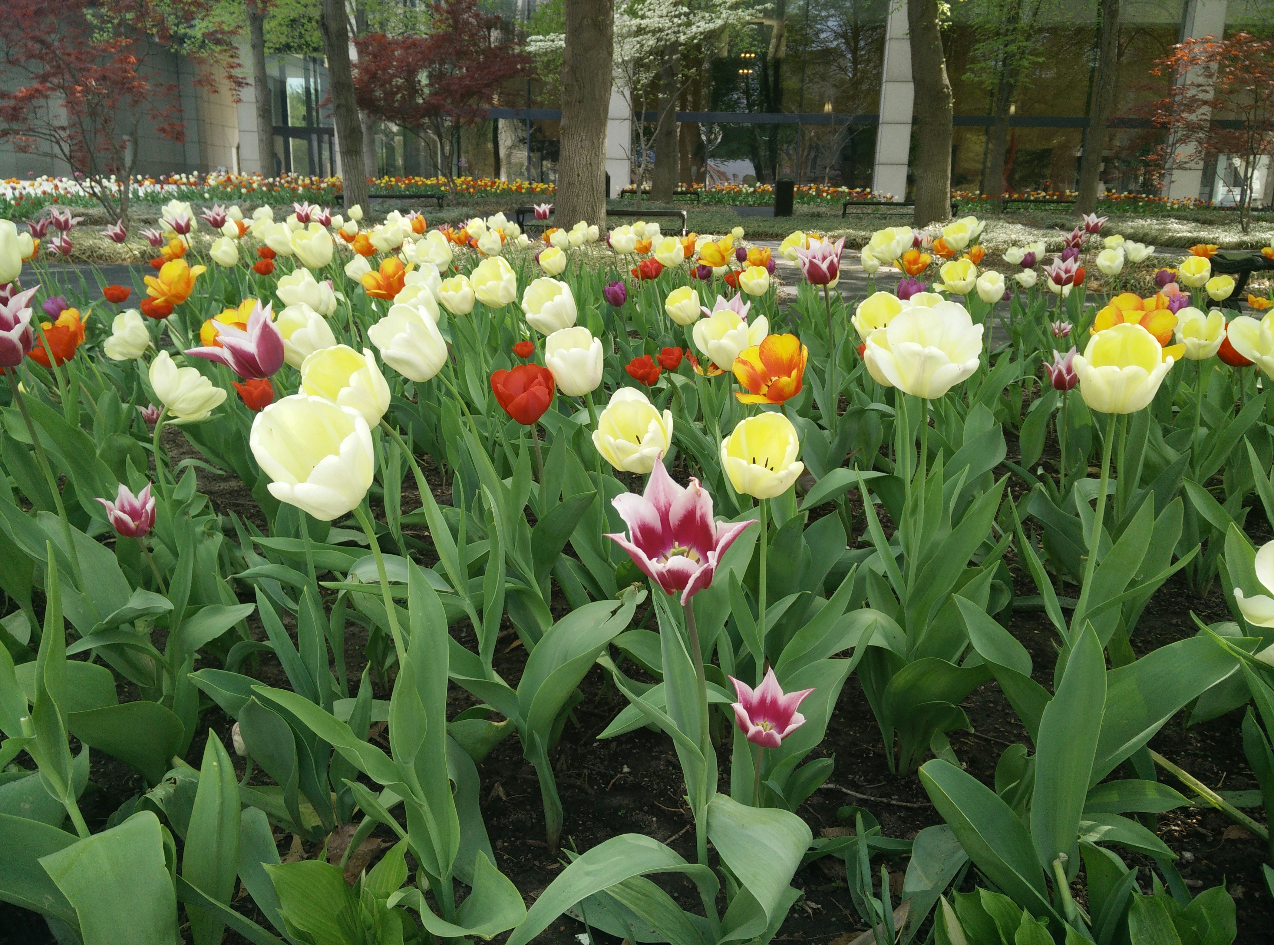 Free Unsplash photo from Emily Pope