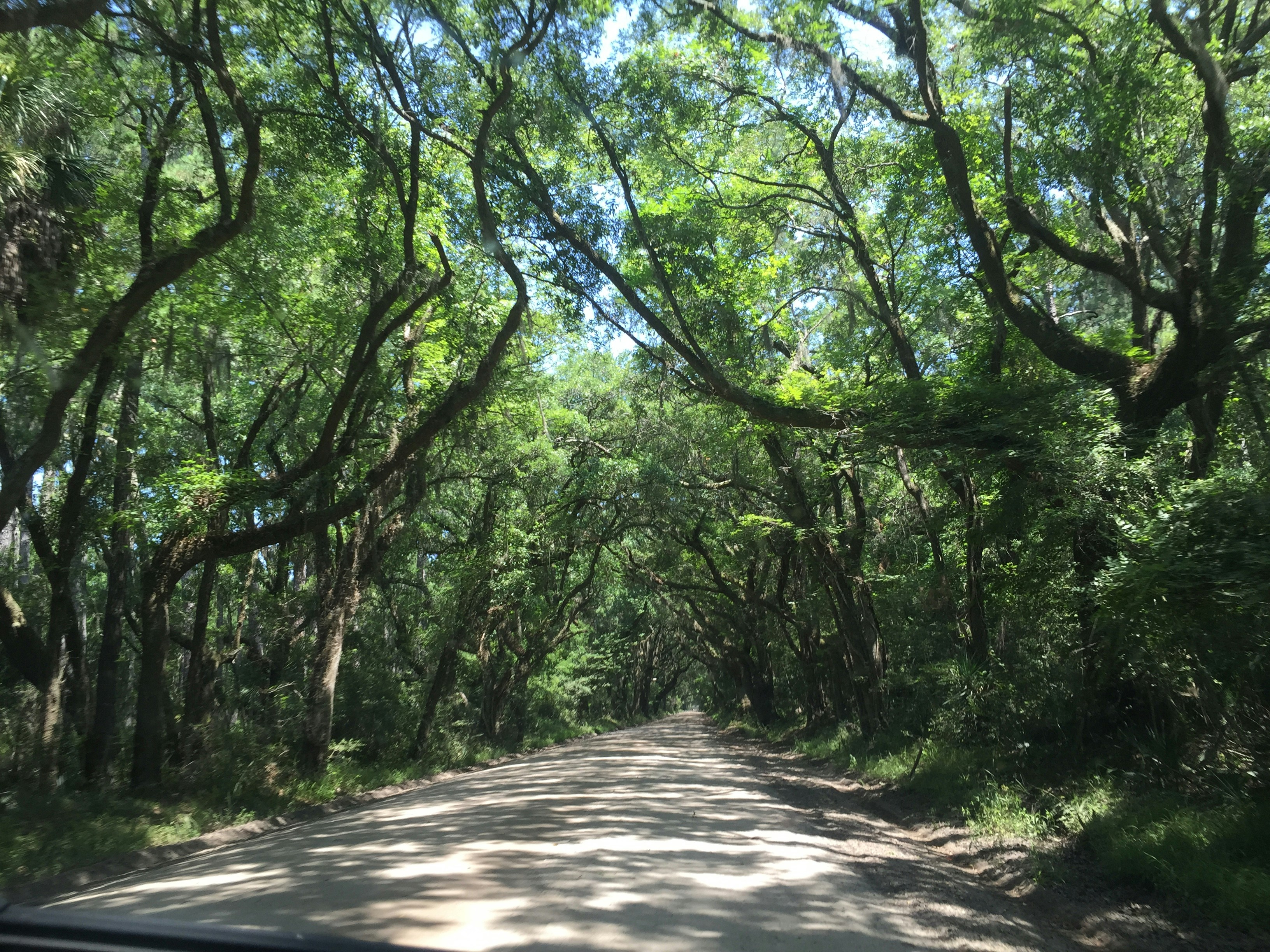 Free Unsplash photo from Emily Pope