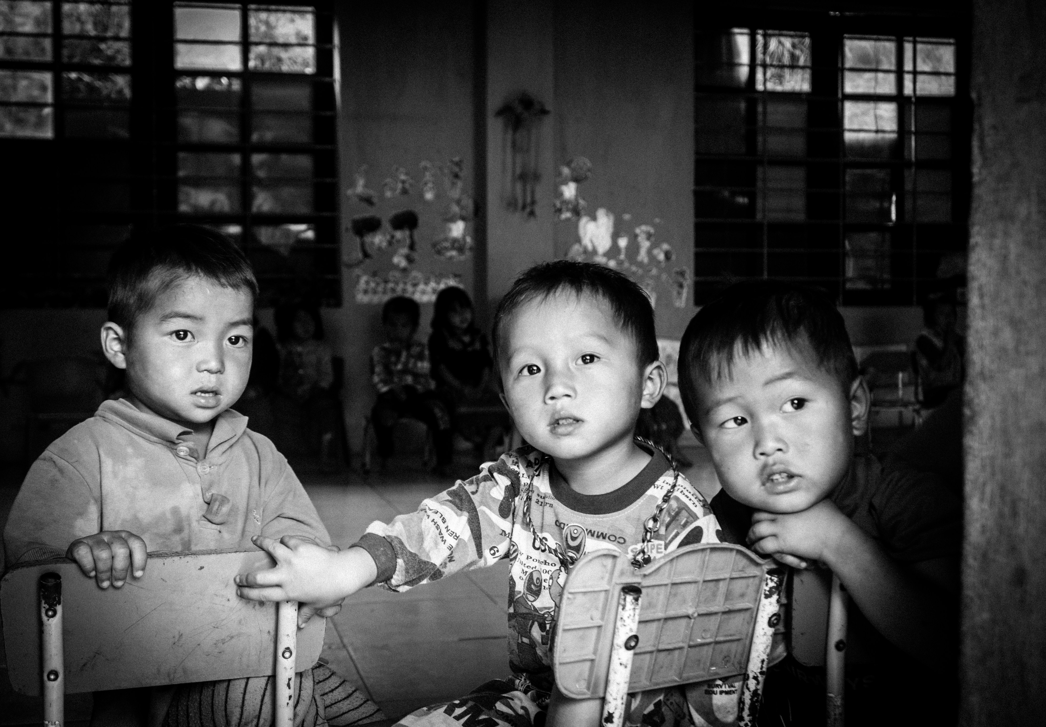 Free Unsplash photo from Tom Shu