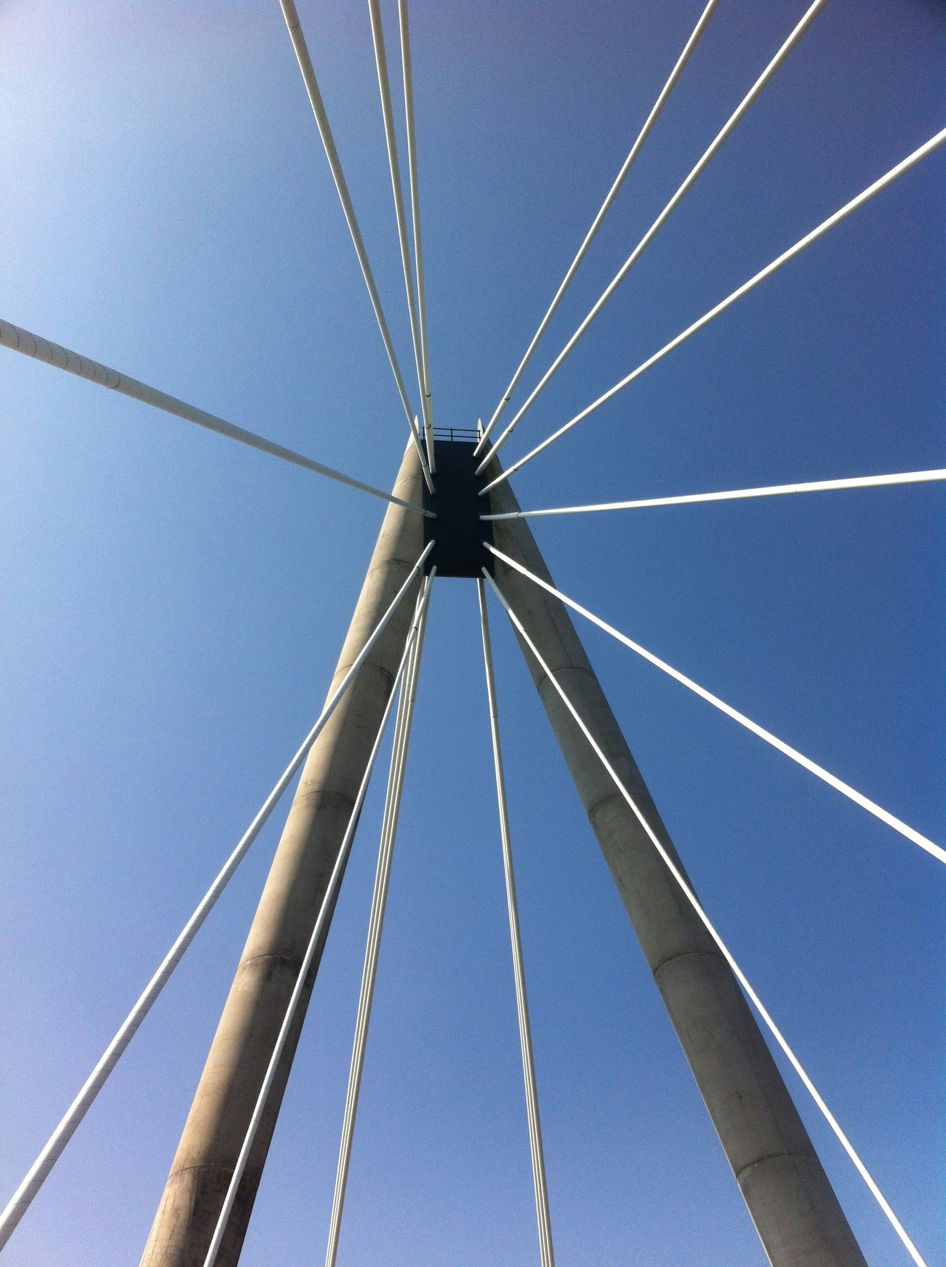 Free Unsplash photo from Mark Humphrey