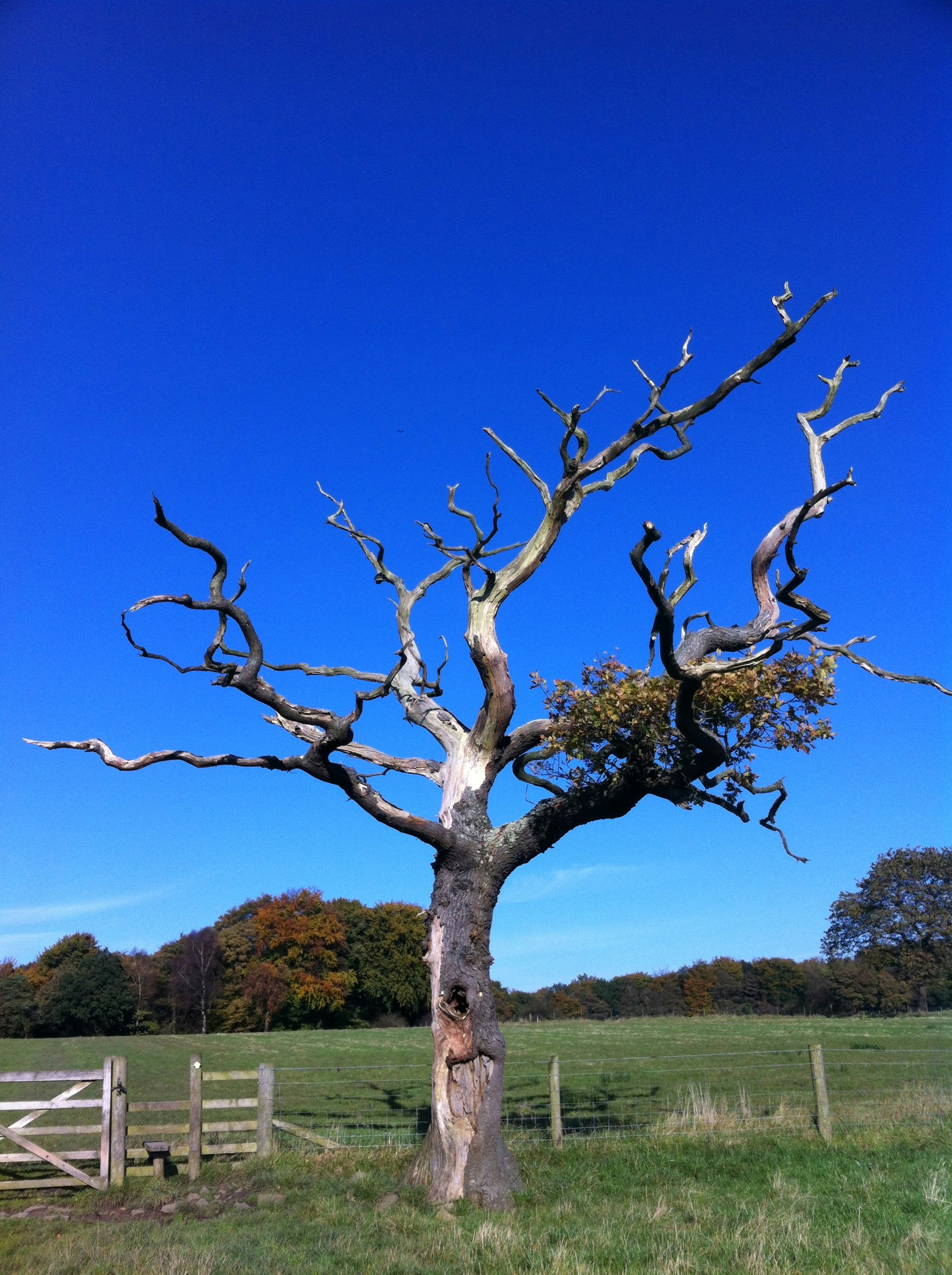 Free Unsplash photo from Mark Humphrey