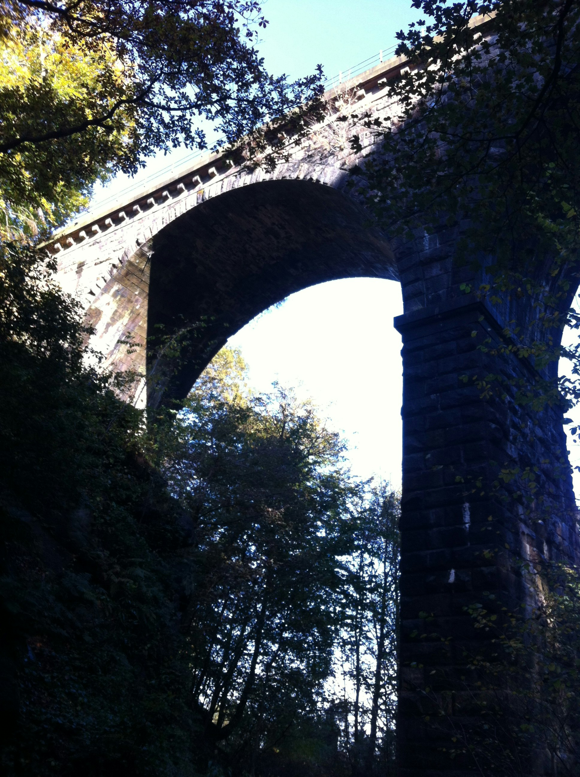 Free Unsplash photo from Mark Humphrey