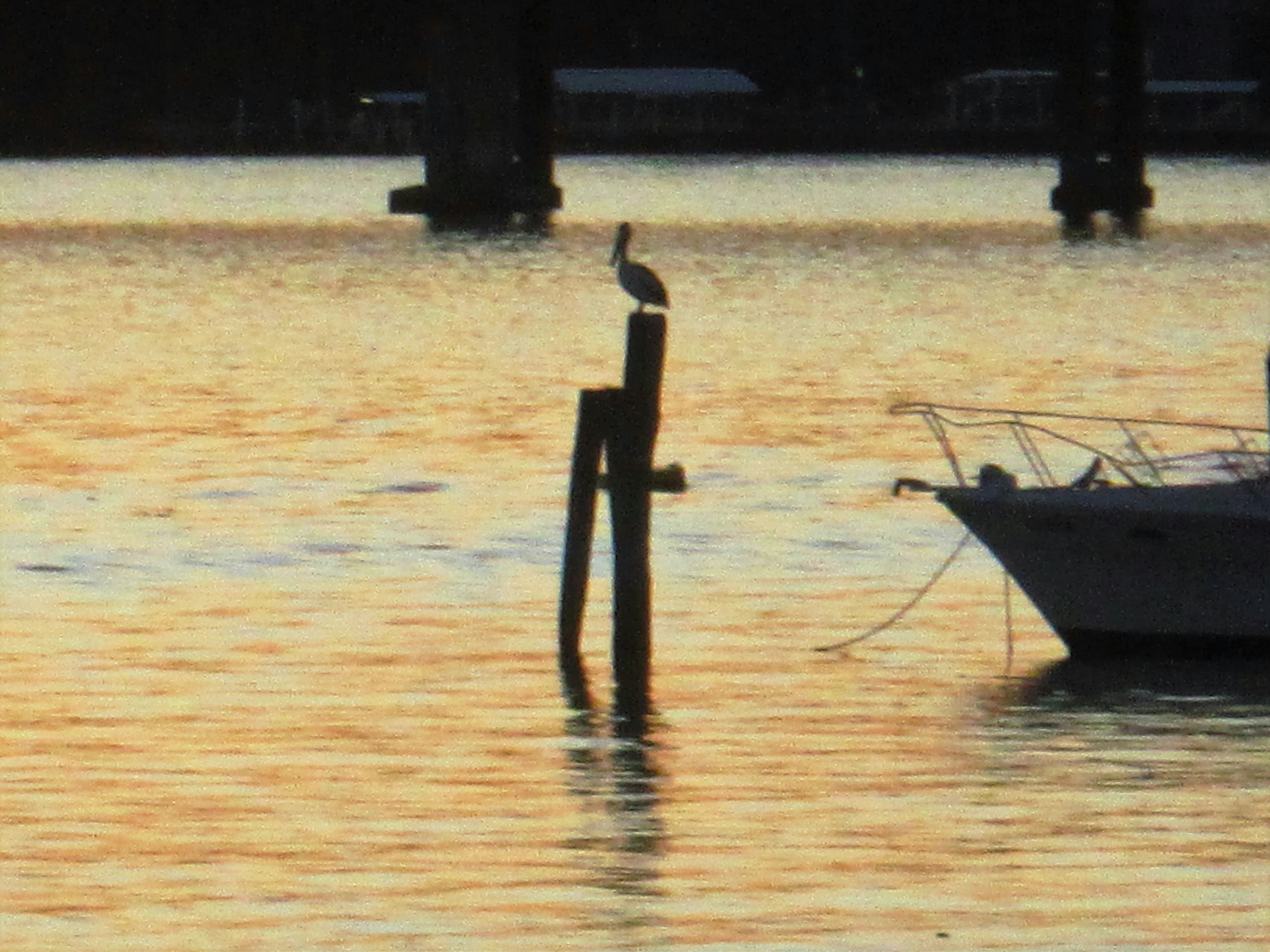 Free Unsplash photo from Nia Elle