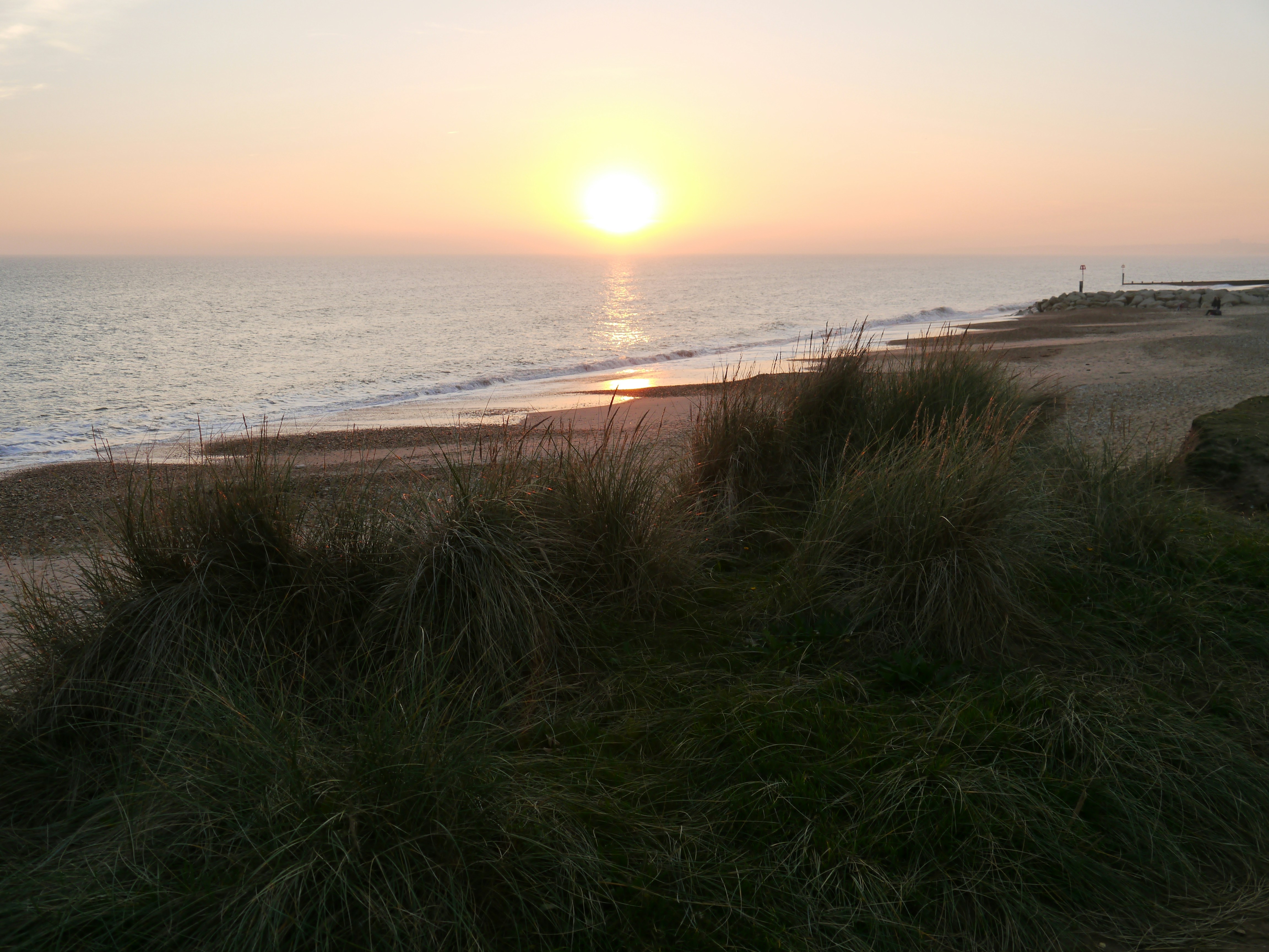 Free Unsplash photo from Julius Rinke