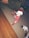 A young child wearing festive red pajamas with white polka dots and a red and white Santa hat stands on a carpeted floor. Nearby are a snowman plush toy and a small gift box with a Santa decoration. The room has a mix of wooden and carpeted flooring.