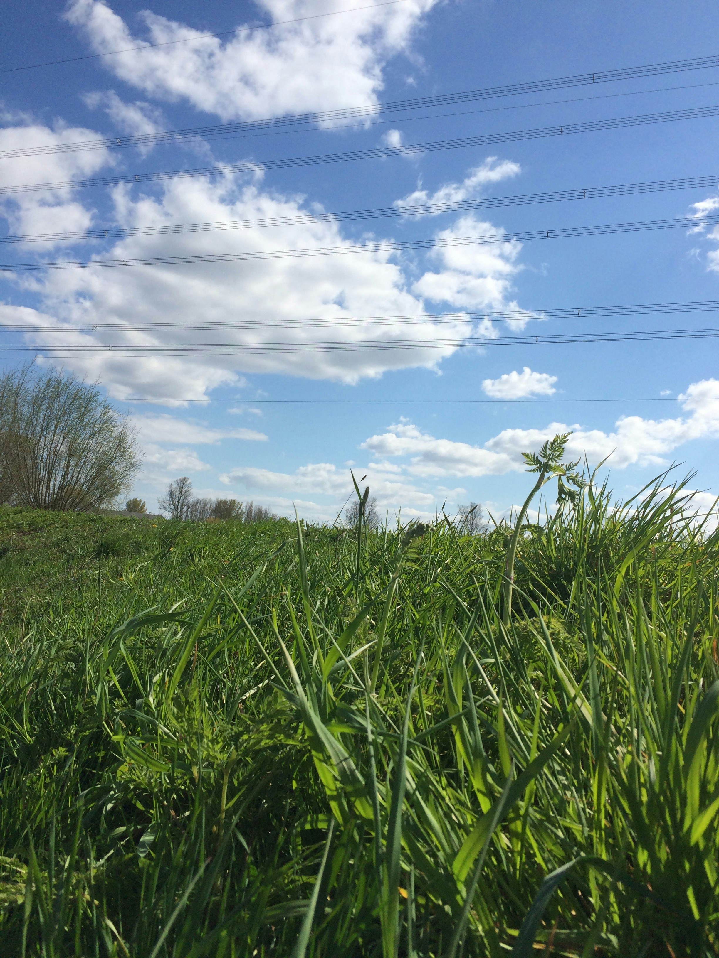 Free Unsplash photo from Jurre Smits