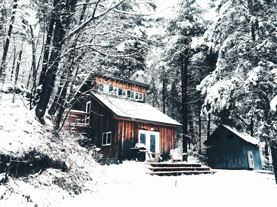 brown wooden house surrounded by trees, A wood cabin in the snow