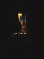 A dark alley with faint silhouettes, evoking secrecy and covert tactics.