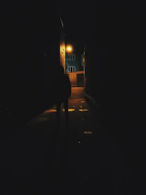 A close-up of a shadowy figure lurking in a foggy alley at night.