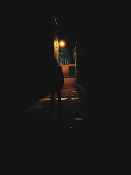 A shadowy silhouette stands under flickering streetlights, mist curling around a deserted alley.