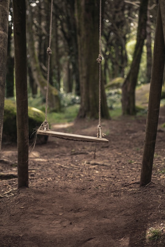 photo of Sintra Forest near Padrão dos Descobrimentos