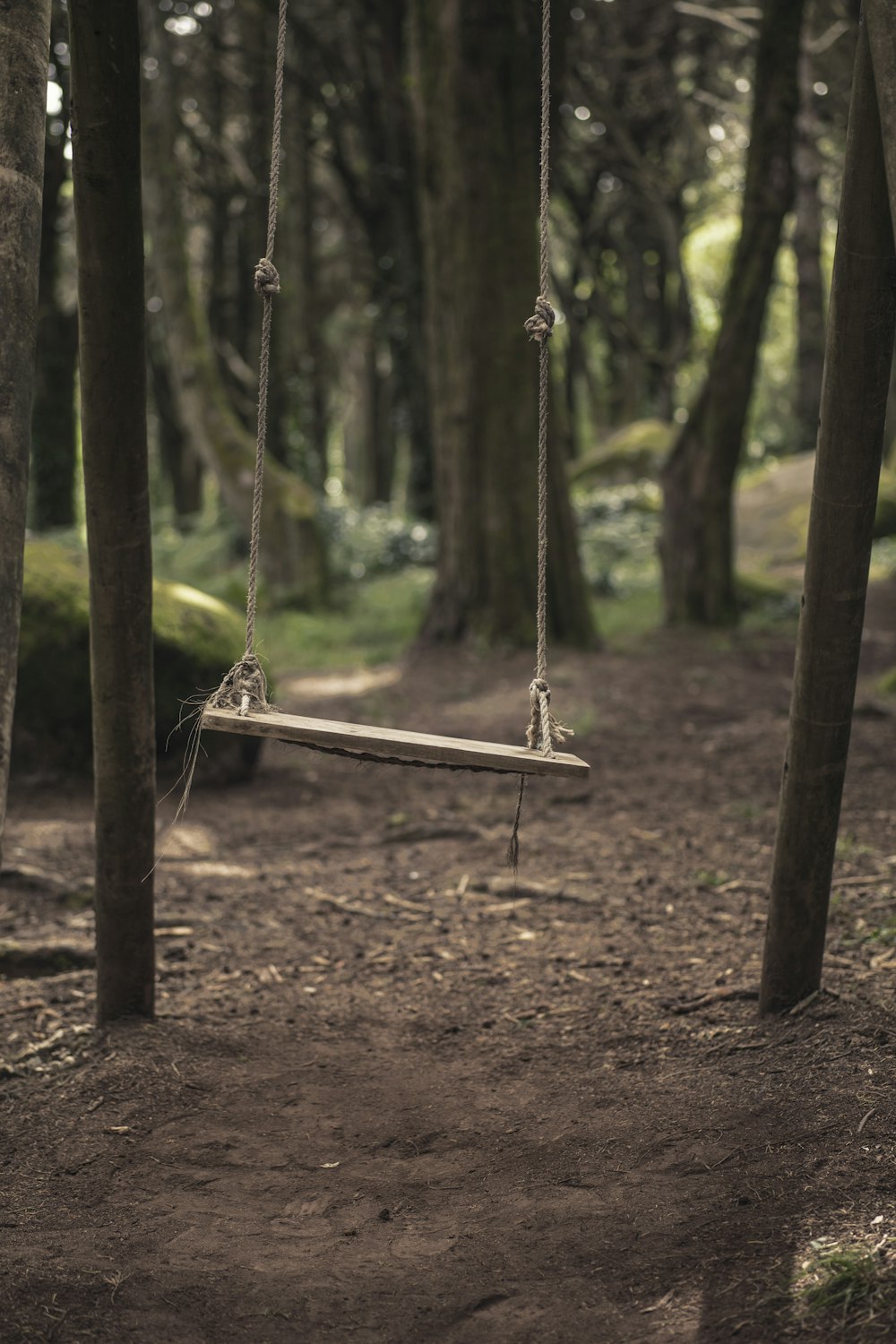 Balançoire en bois marron entourée d’arbres