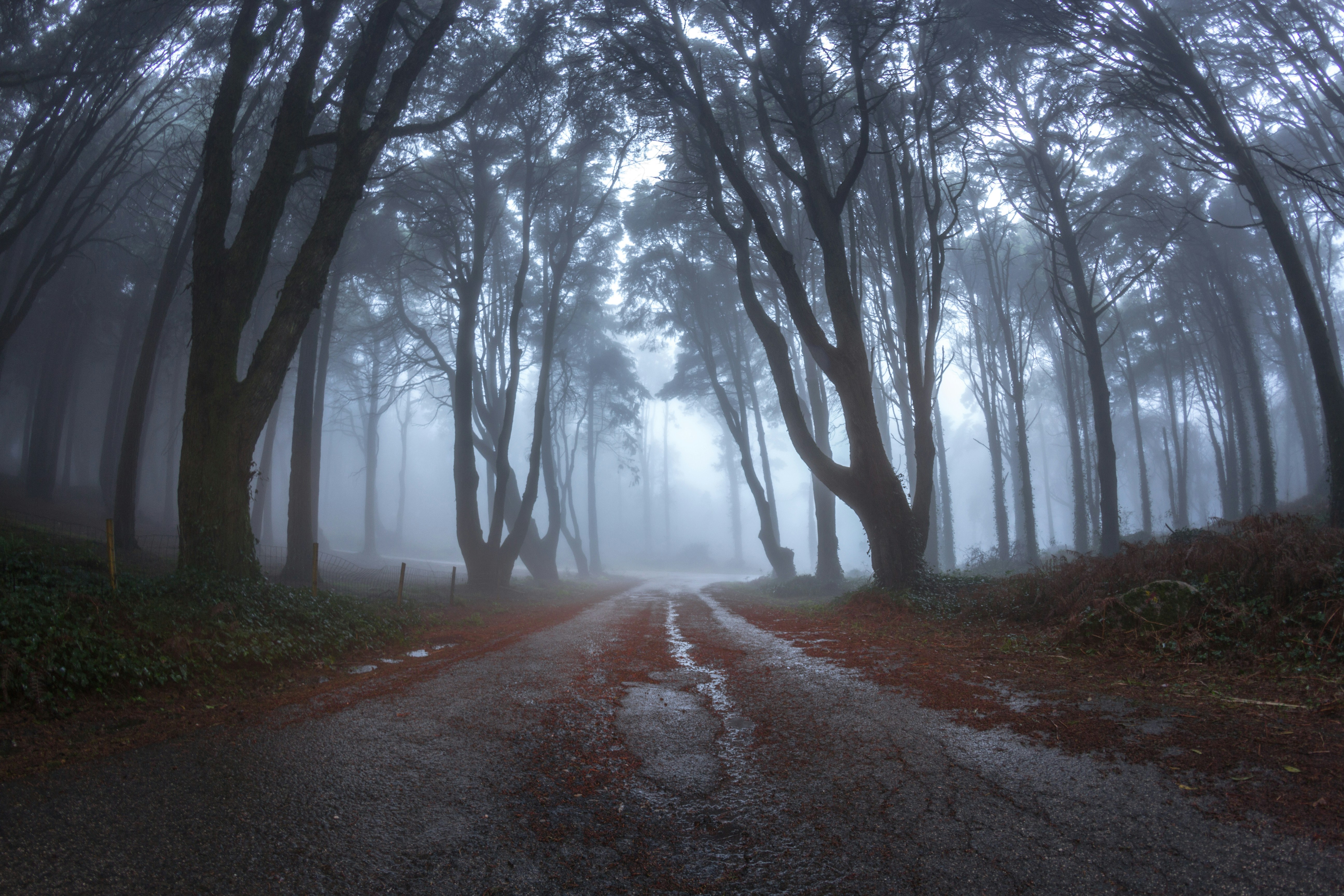 Free Unsplash photo from Manuel  Inglez