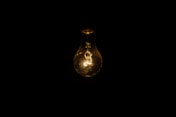 closeup photo of lighted bulb