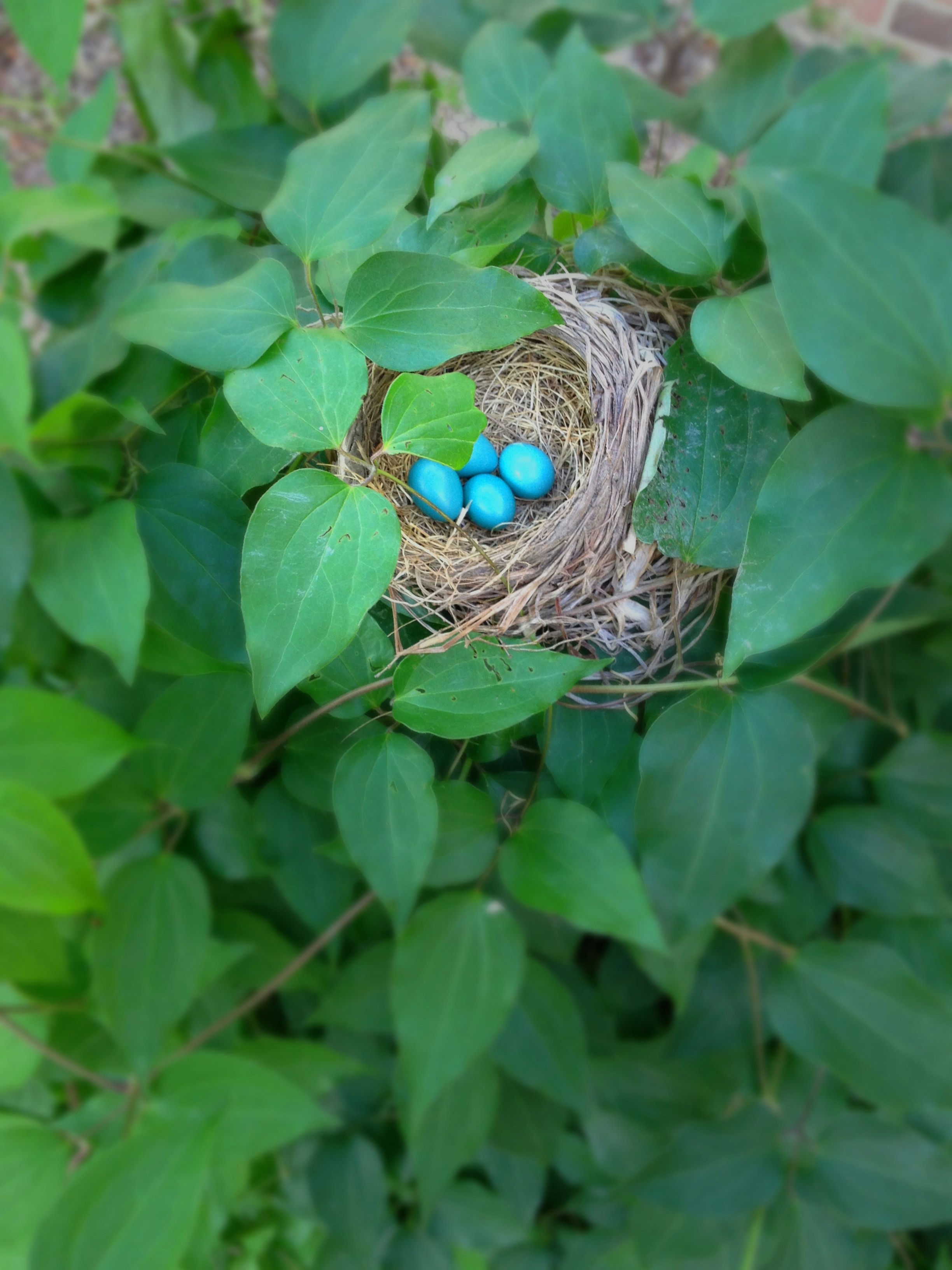 Free Unsplash photo from Chuck Green