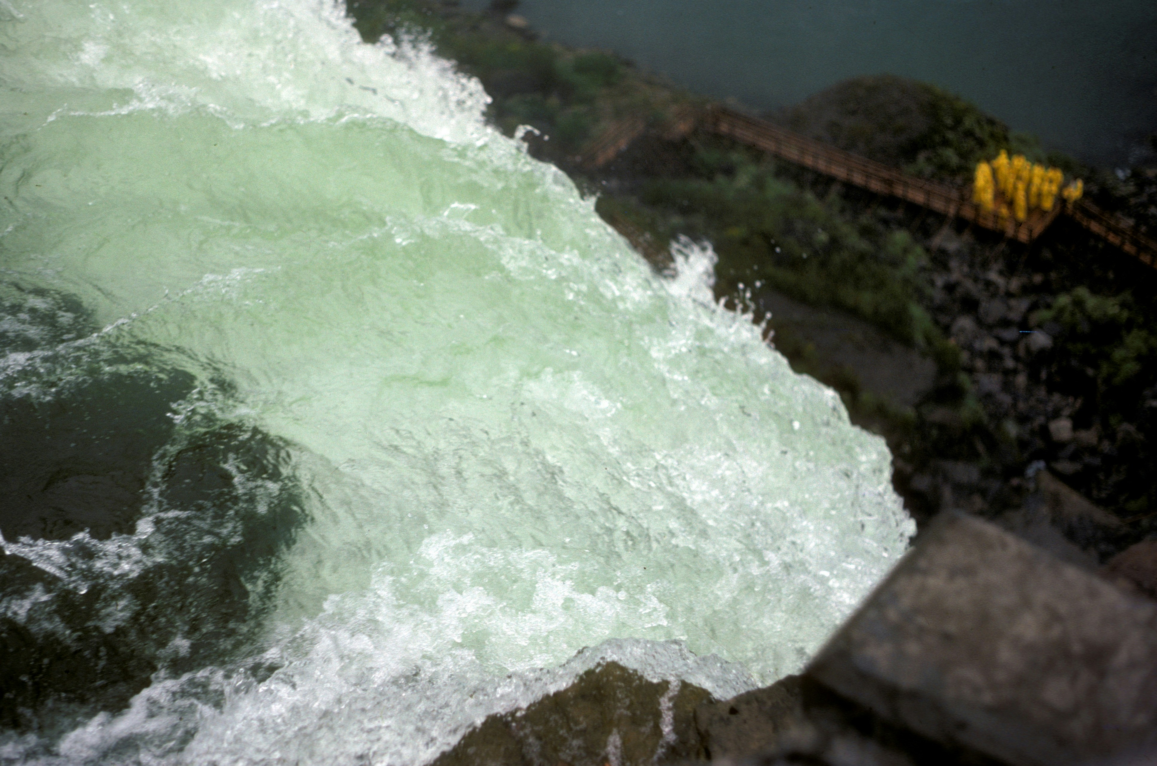 Free Unsplash photo from Chuck Green