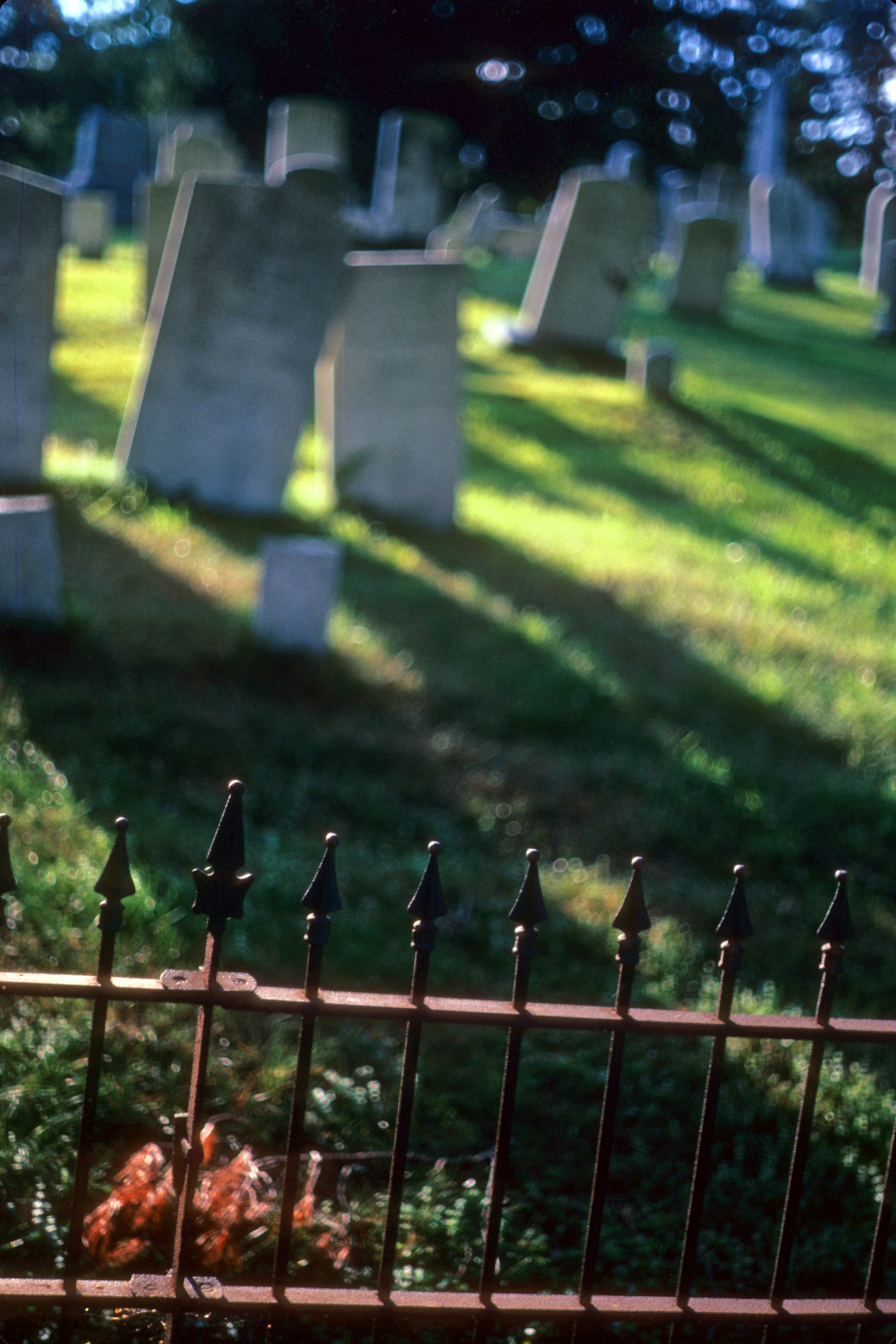 Free Unsplash photo from Chuck Green