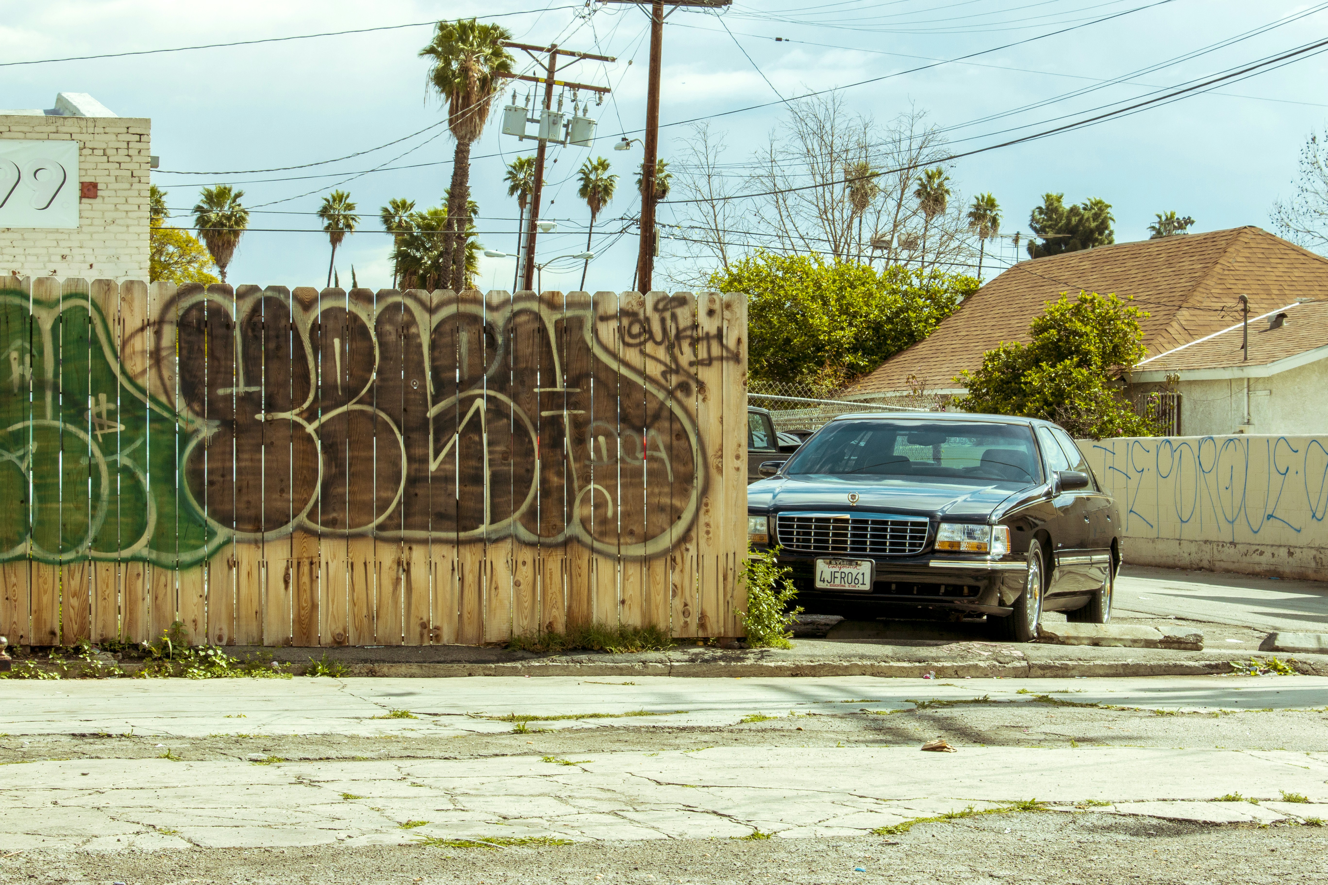 Free Unsplash photo from Erin Tozour