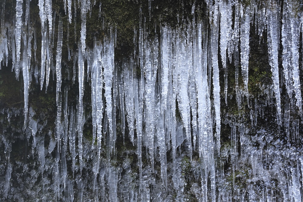 picos congelados