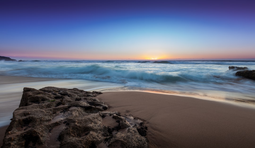 seashore under blue sky