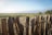 A rustic wooden fence made of vertical weathered logs is shown in the foreground, with vast open fields extending into the horizon under a clear blue sky. Sparse trees are scattered across the grassy landscape.