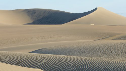 Sam Sand Dunes Safari