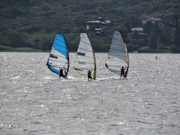 Three windsurfers glide across a sunlit lake, their sails catching the wind as they move in harmony. The background features a lush, tree-lined shore with a few houses visible among the greenery. The water is slightly rippled, reflecting the sunlight in a vibrant display.