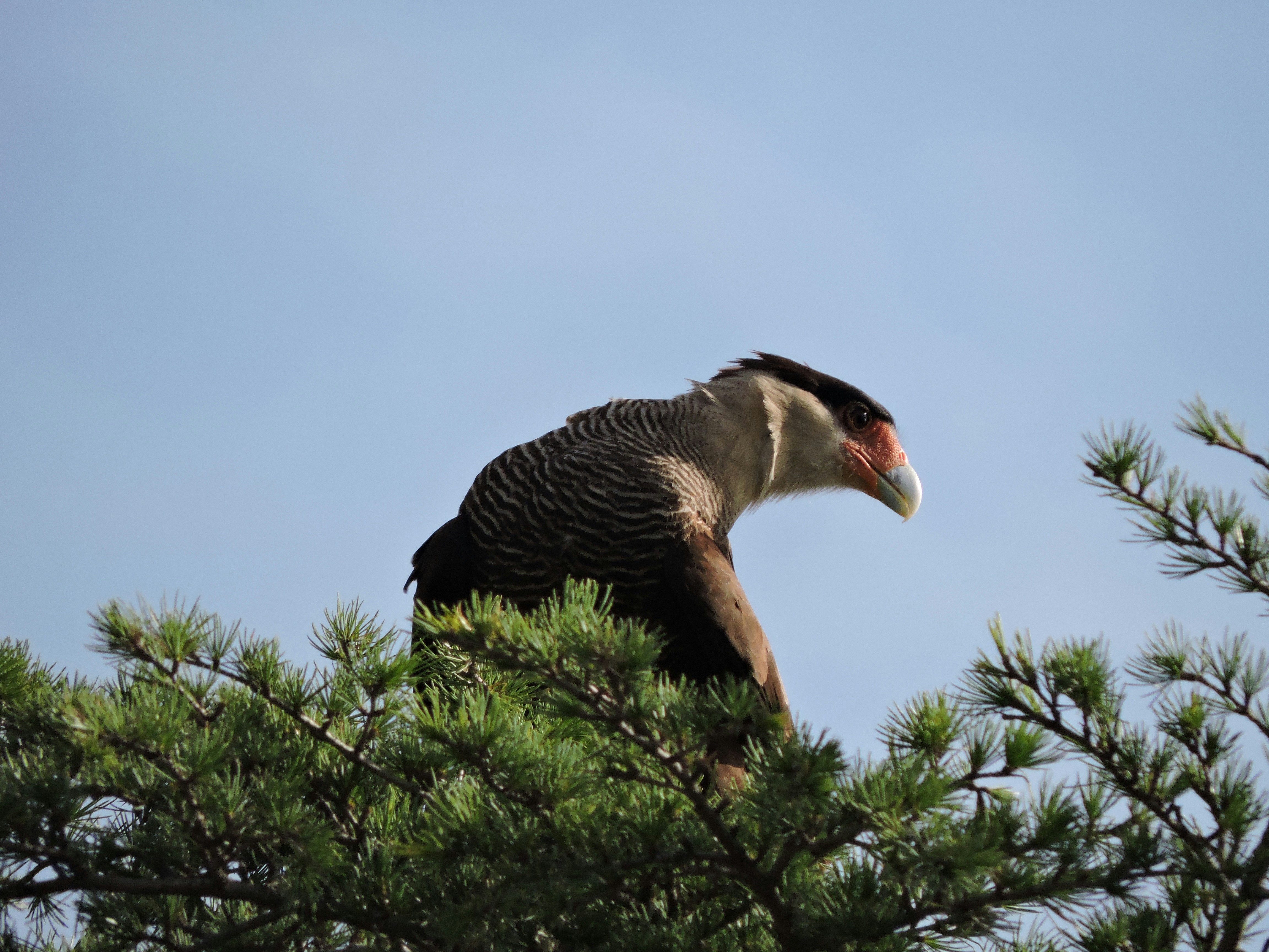 Free Unsplash photo from Gus  Martinez