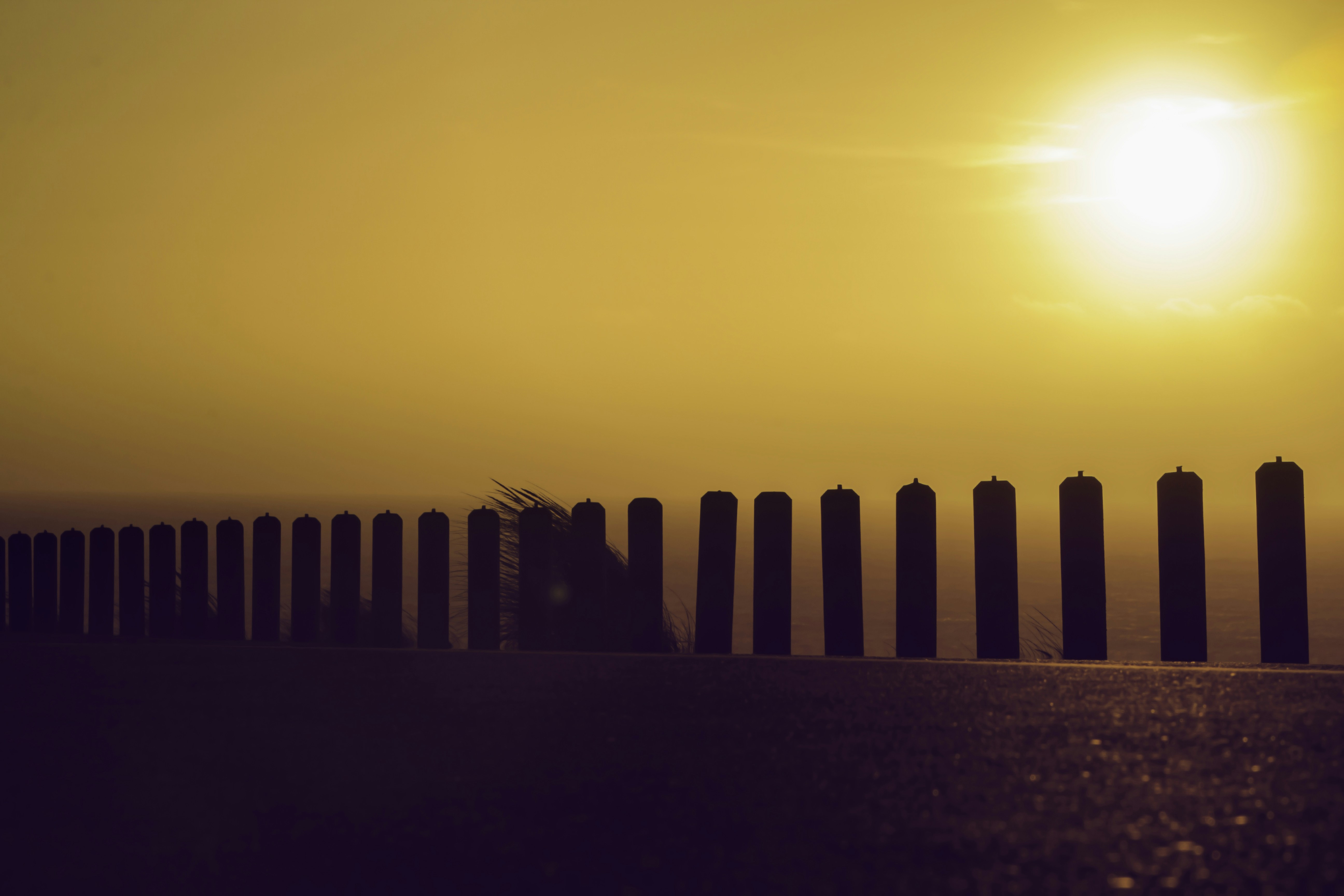 Free Unsplash photo from Manuel  Inglez