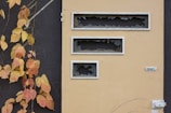 A beige door with rectangular windows is shown with broken glass panes. The background wall is dark gray, and a vine with orange and yellow autumn leaves climbs up alongside the door.