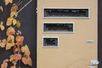 A beige door with rectangular windows is shown with broken glass panes. The background wall is dark gray, and a vine with orange and yellow autumn leaves climbs up alongside the door.