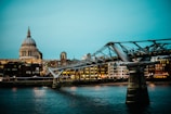 bridge near city