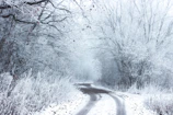 Snow-covered paths winding through the Rhön forest during wintertime