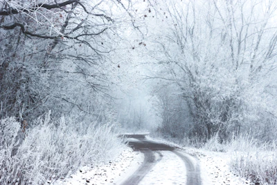 Snow-covered paths winding through the Rhön forest during wintertime