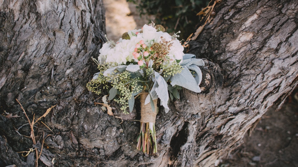 flower bouquet on tree trunk