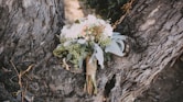 flower bouquet on tree trunk