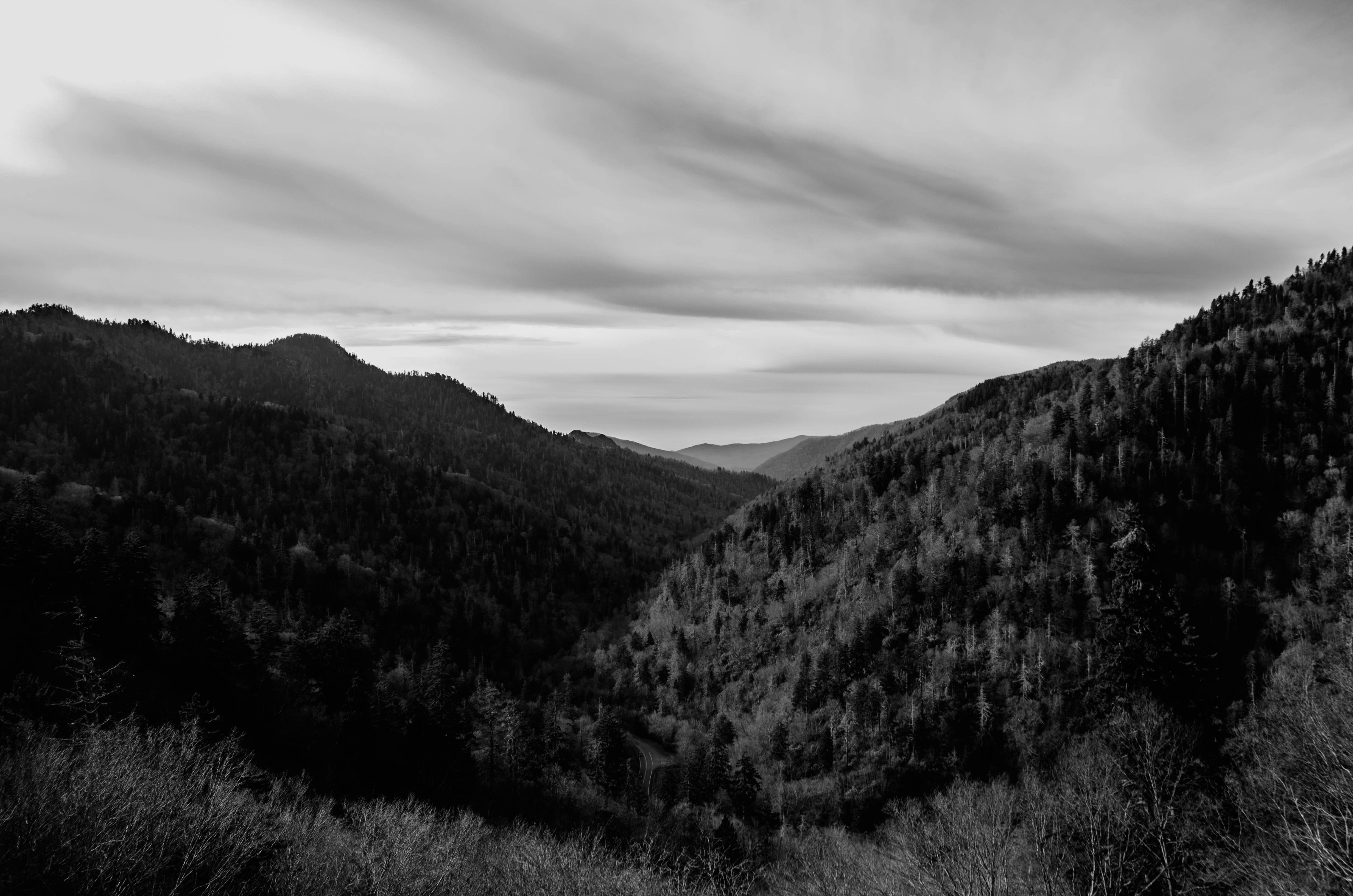 Free Unsplash photo from Ashley Knedler