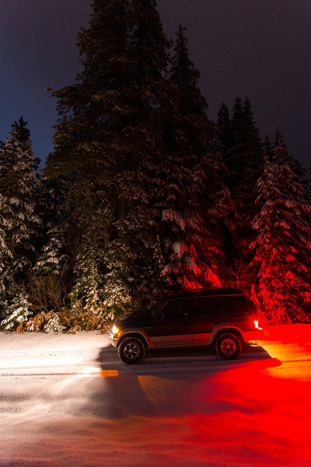 black SUV besie pine trees