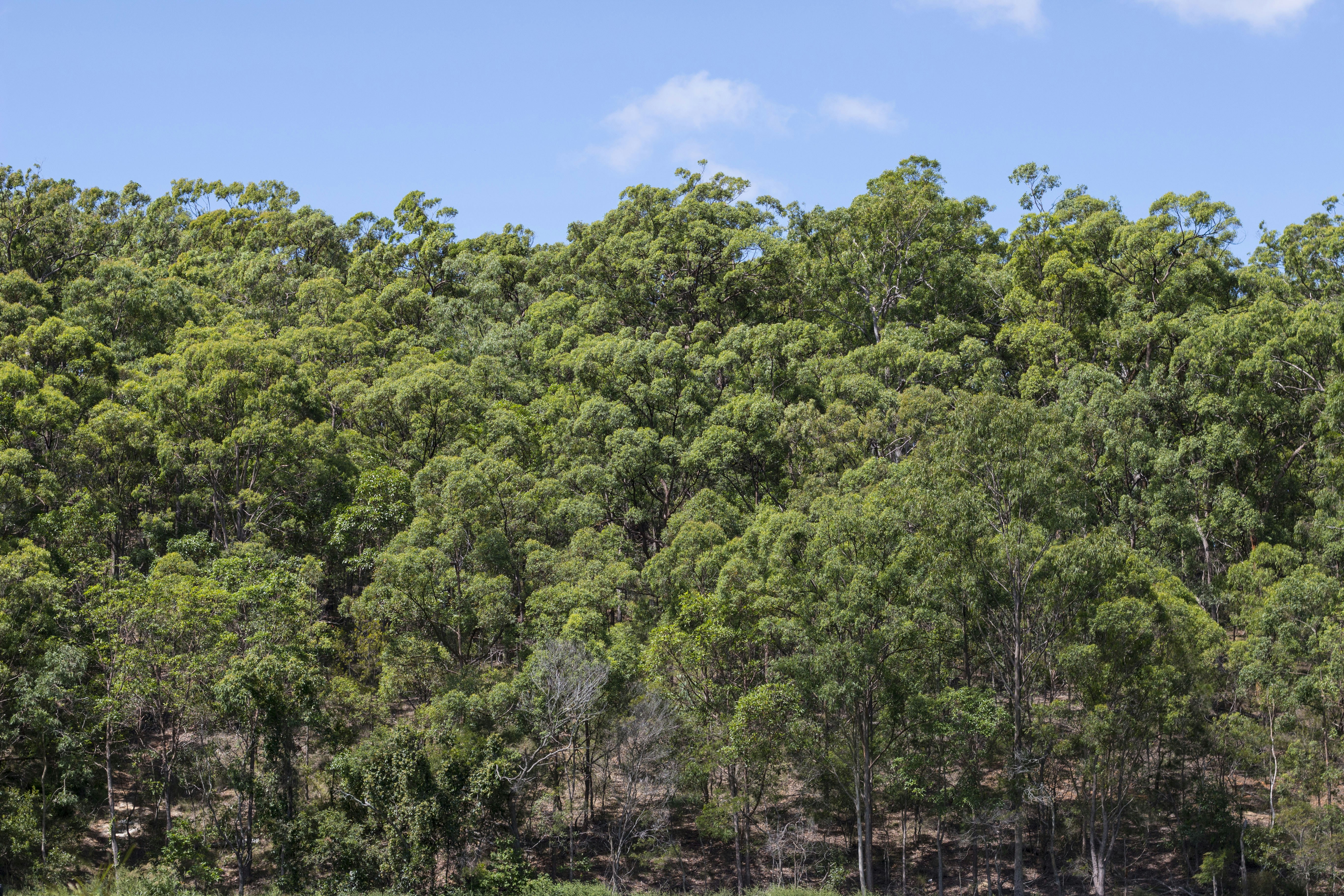 Free Unsplash photo from Jackson Stapylton