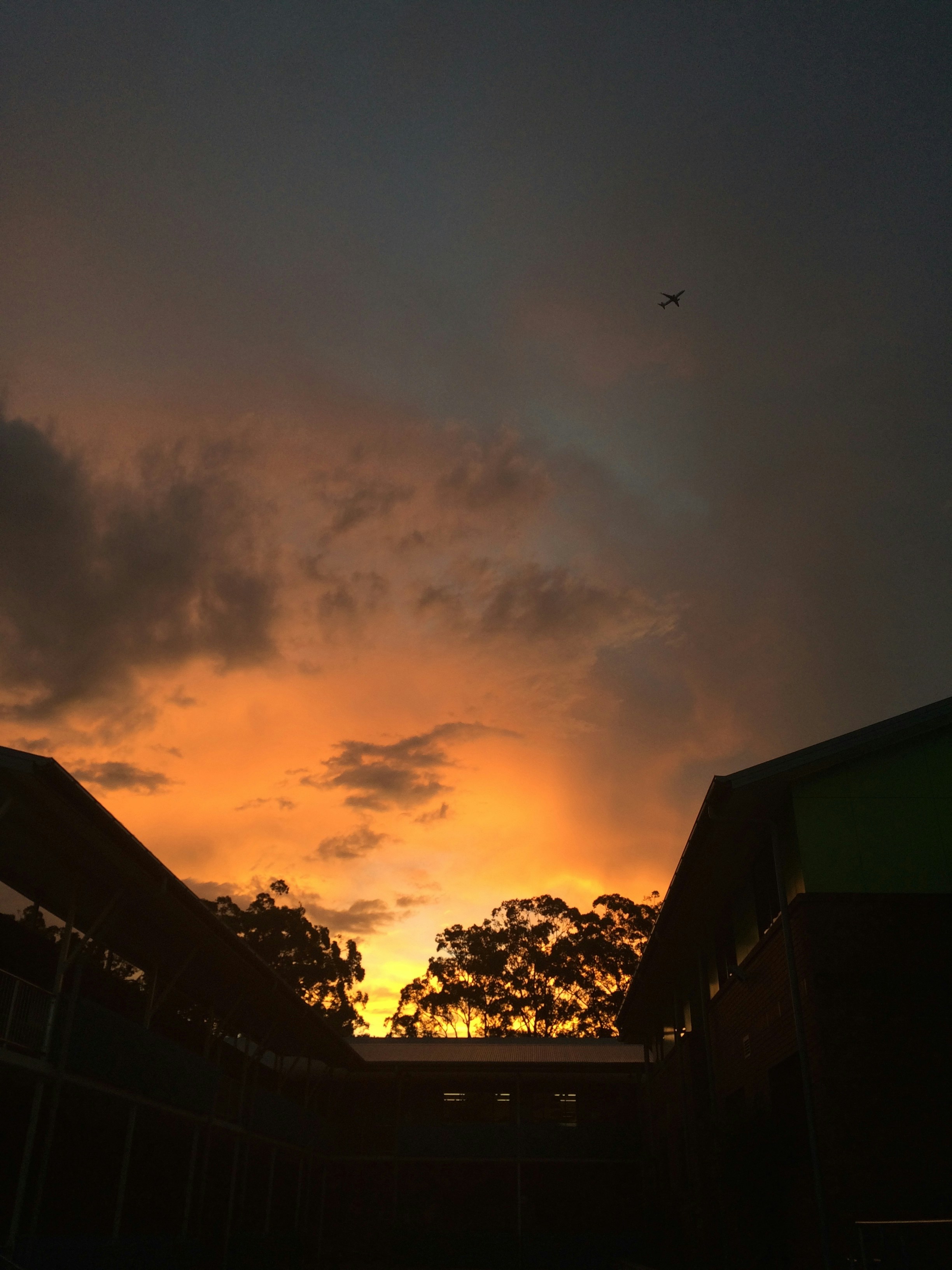 Free Unsplash photo from Jackson Stapylton