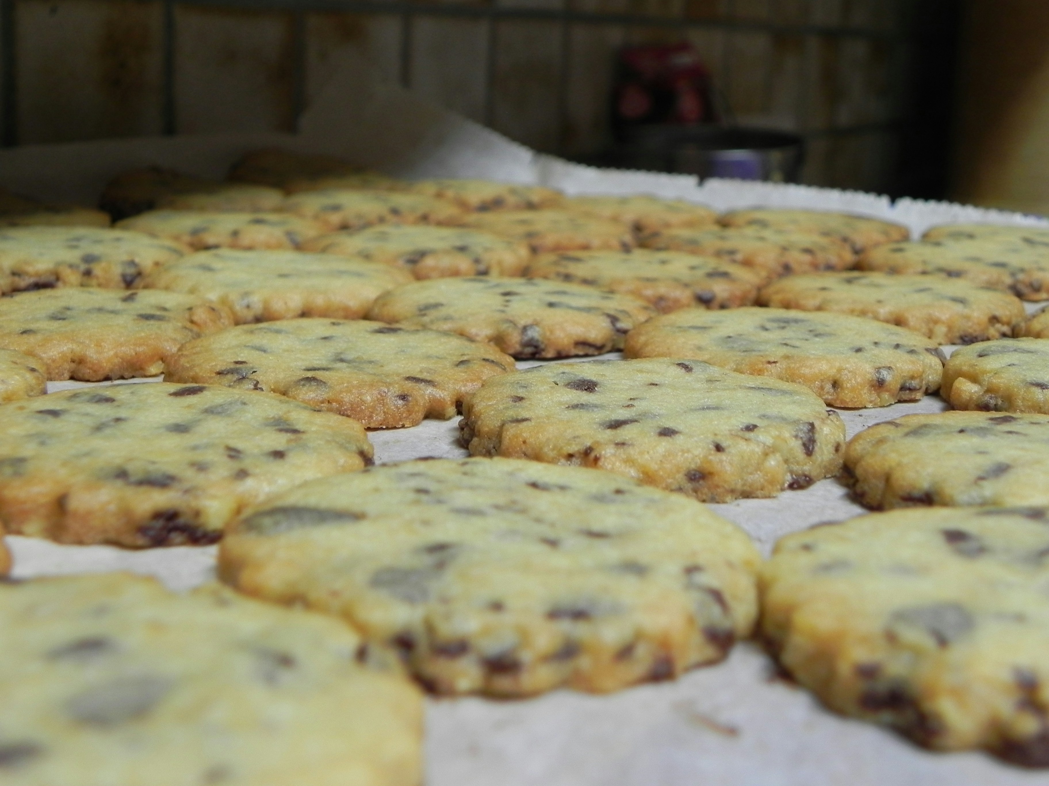 A batch of freshly baked chocolate chip cookies is spread out on a baking sheet. The cookies have a golden-brown color with visible chocolate chips throughout.