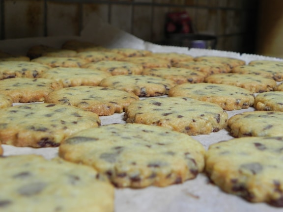 A batch of freshly baked chocolate chip cookies is spread out on a baking sheet. The cookies have a golden-brown color with visible chocolate chips throughout.
