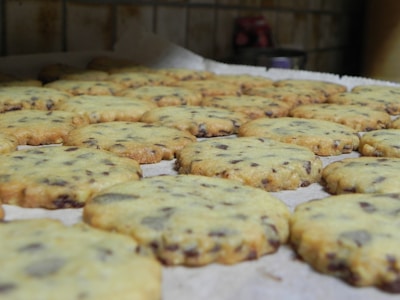 A tray of golden, freshly baked cookies with chocolate chips, resting on cream-colored parchment paper.