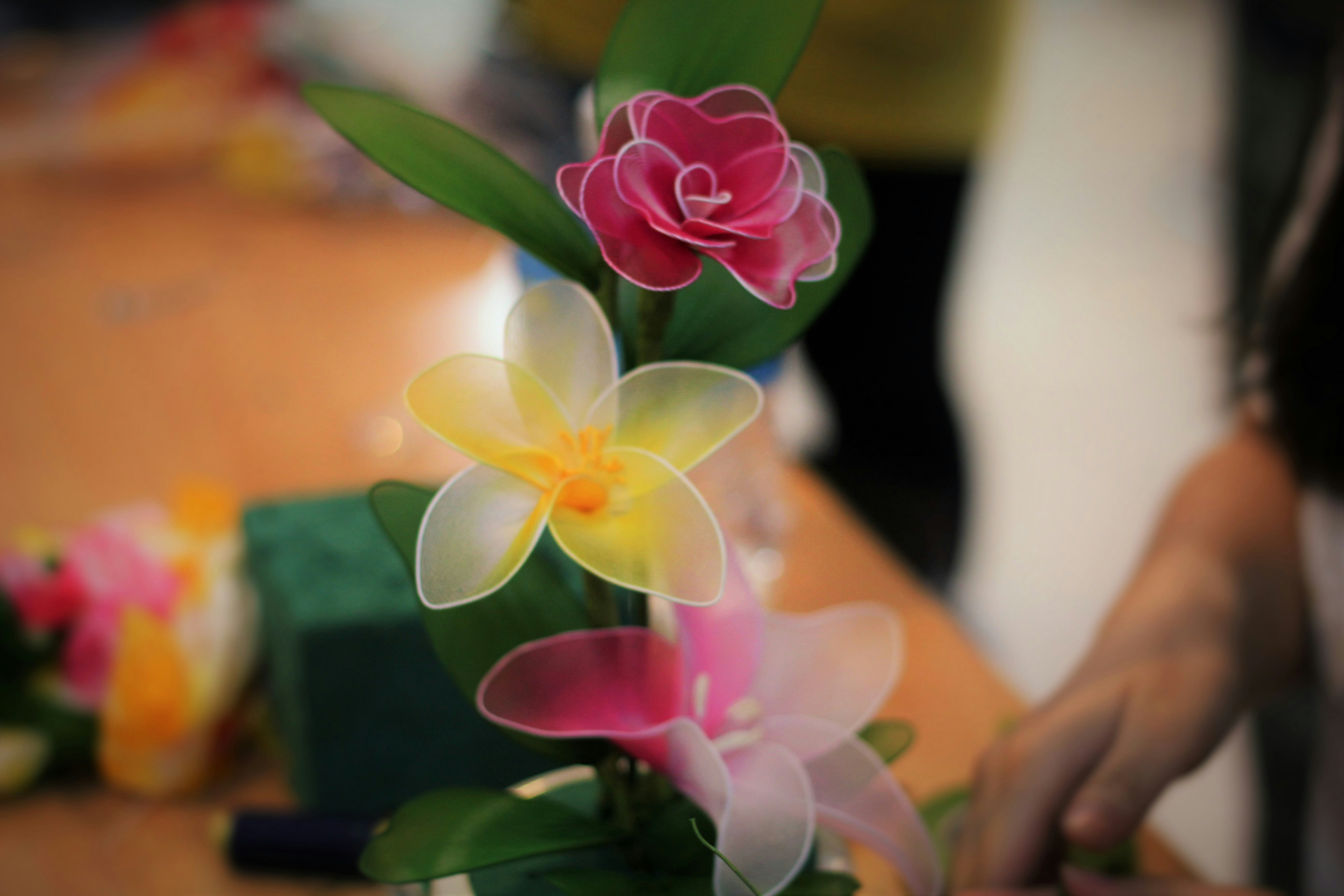 Free Unsplash photo from Cam Cam