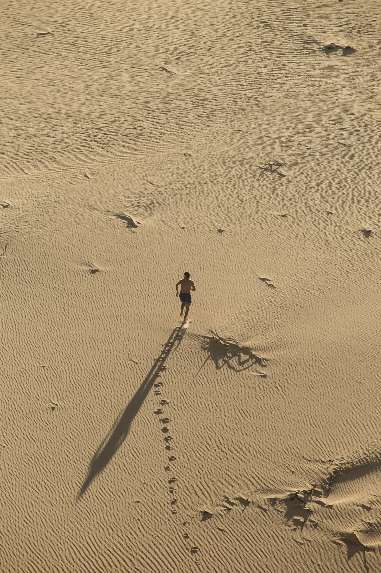 Free Unsplash photo from Ronin Campos