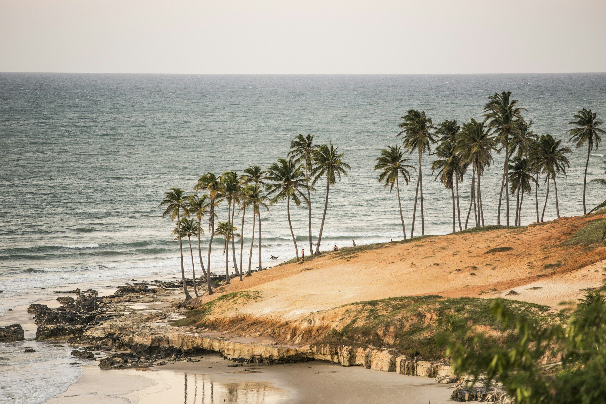 Free Unsplash photo from Ronin Campos